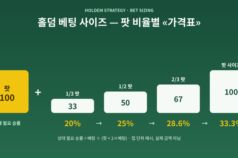 홀덤 베팅 사이즈 가격표 인포그래픽